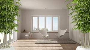 Balans en schoonheid: moderne feng shui voor het huis