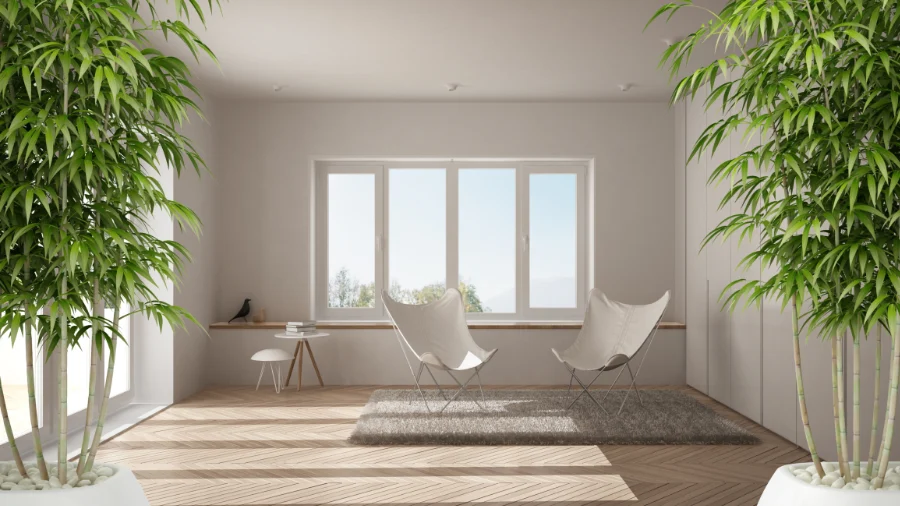 Balans en schoonheid: moderne feng shui voor het huis
