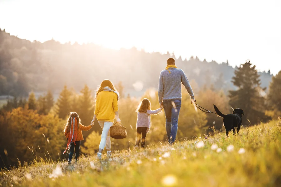 Natuurwandelingen: verken verborgen schatten